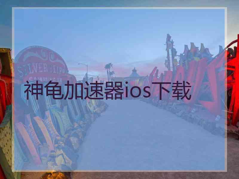 神龟加速器ios下载