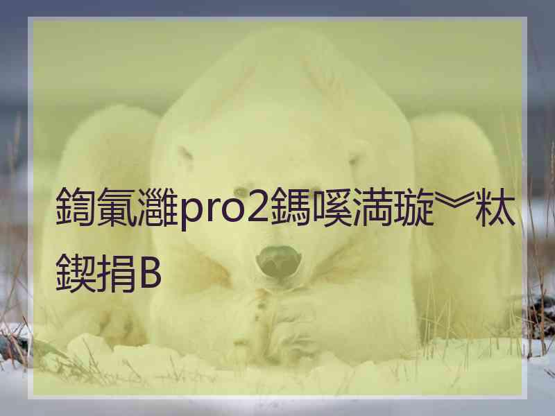 鍧氭灉pro2鎷嗘満璇︾粏鍥捐В