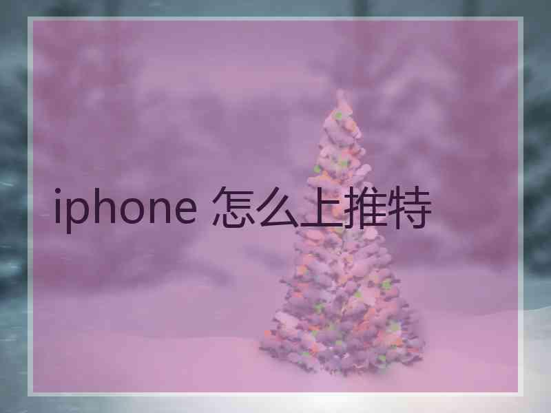 iphone 怎么上推特