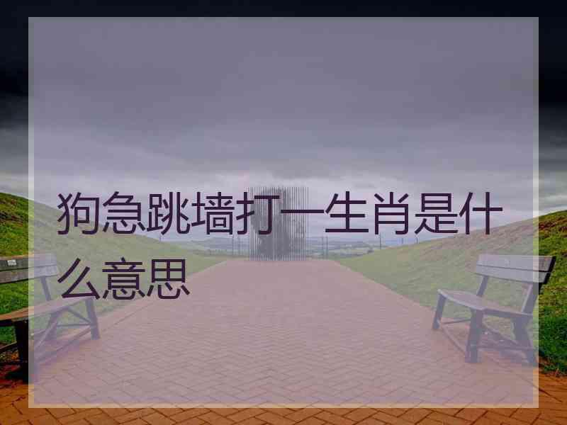 狗急跳墙打一生肖是什么意思