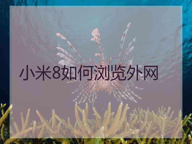 小米8如何浏览外网