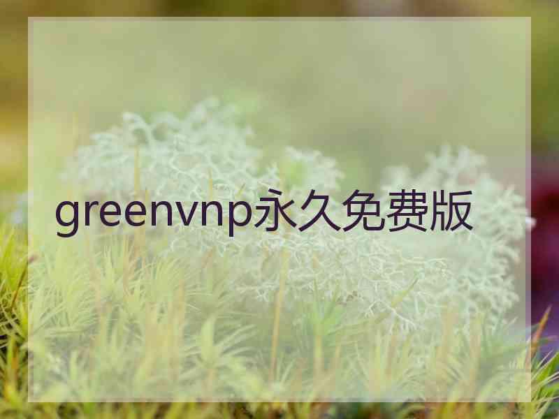 greenvnp永久免费版