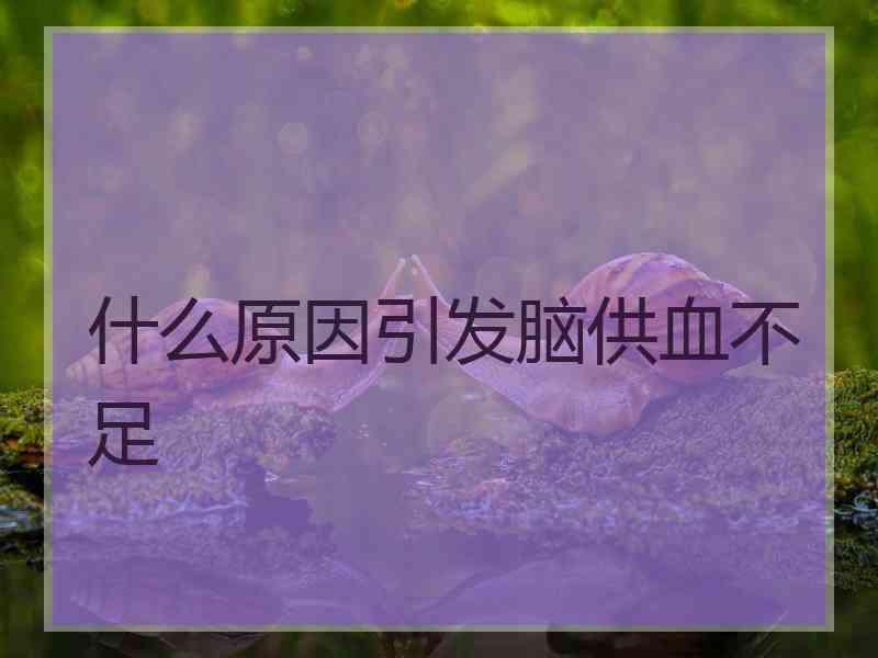 什么原因引发脑供血不足