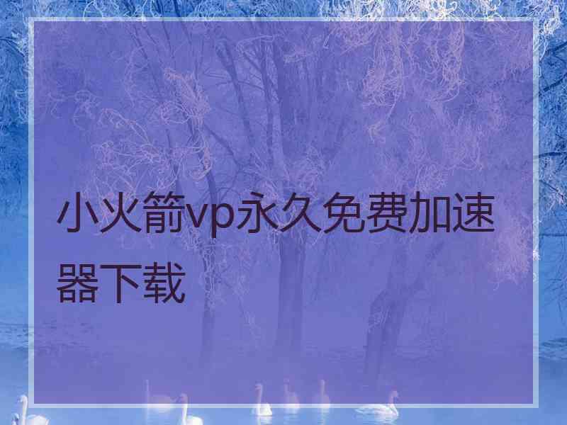 小火箭vp永久免费加速器下载