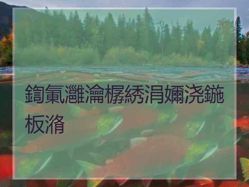 鍧氭灉瀹樼綉涓嬭浇鍦板潃