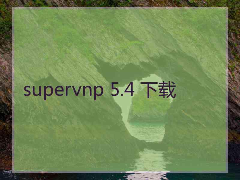 supervnp 5.4 下载