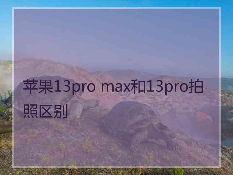 苹果13pro max和13pro拍照区别