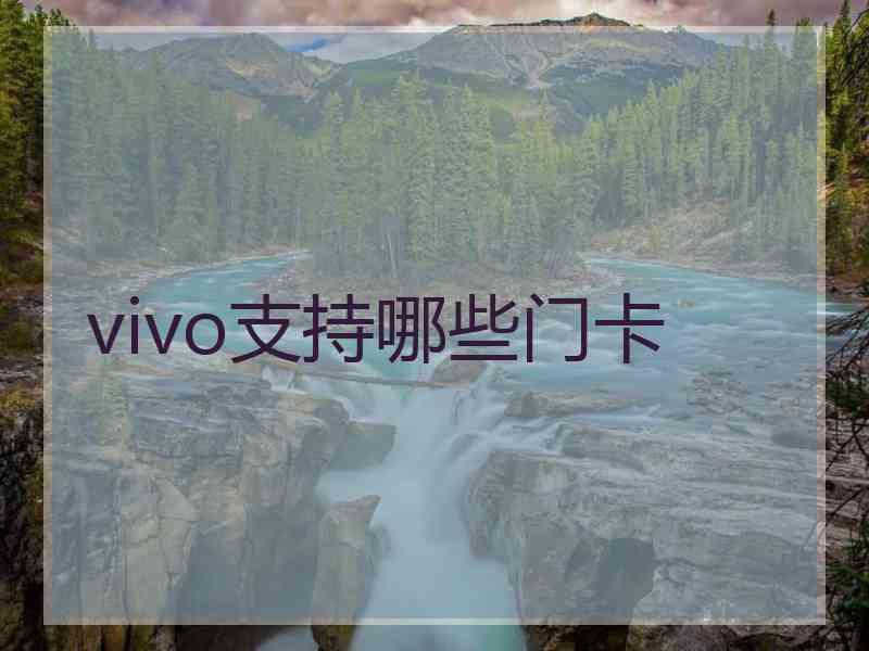 vivo支持哪些门卡