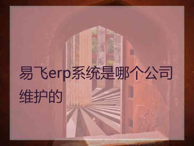 易飞erp系统是哪个公司维护的