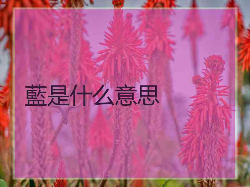 藍是什么意思