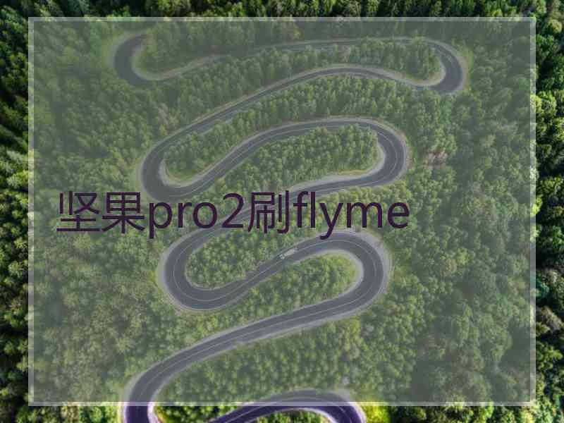 坚果pro2刷flyme