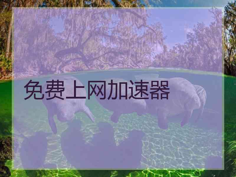 免费上网加速器