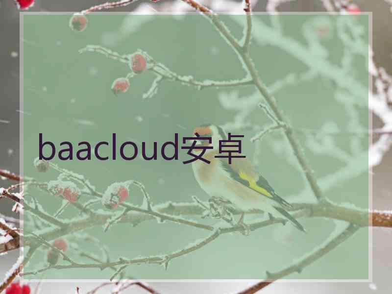 baacloud安卓