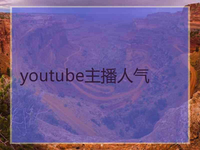 youtube主播人气