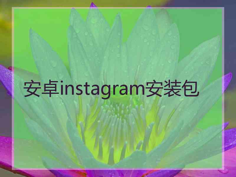 安卓instagram安装包