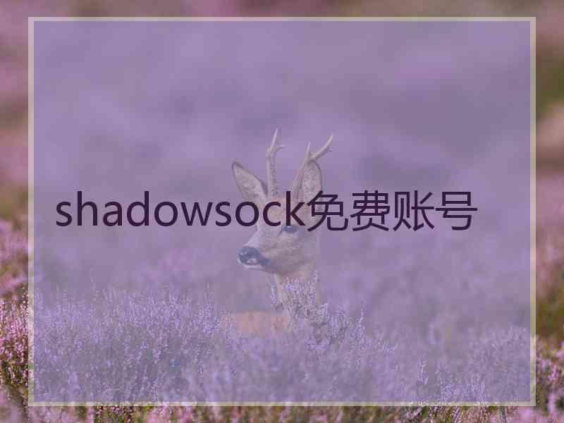 shadowsock免费账号