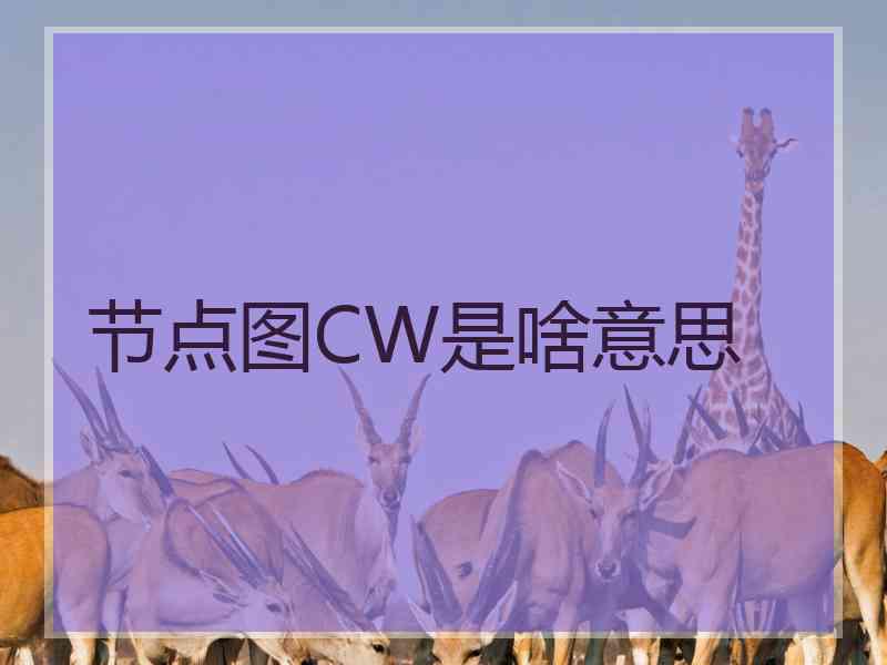 节点图CW是啥意思