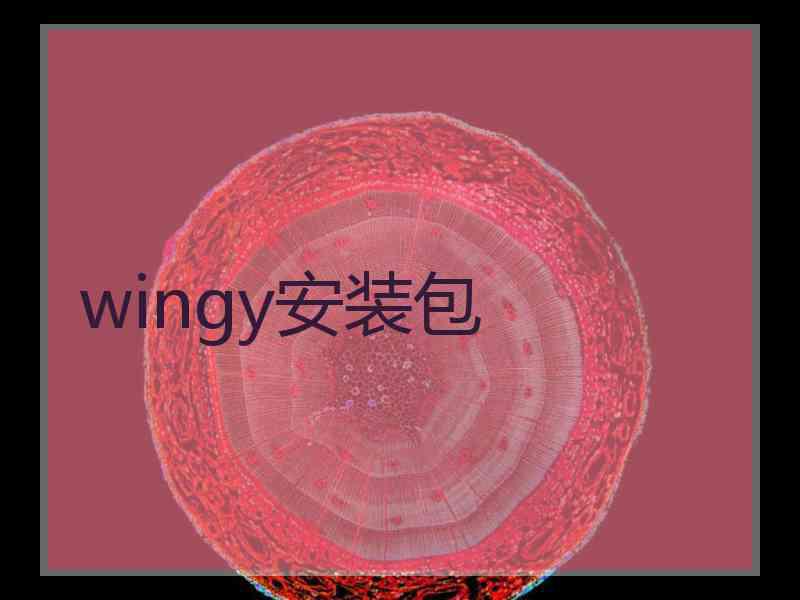 wingy安装包