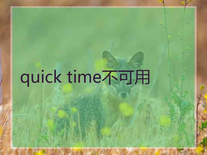 quick time不可用