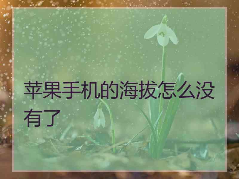 苹果手机的海拔怎么没有了