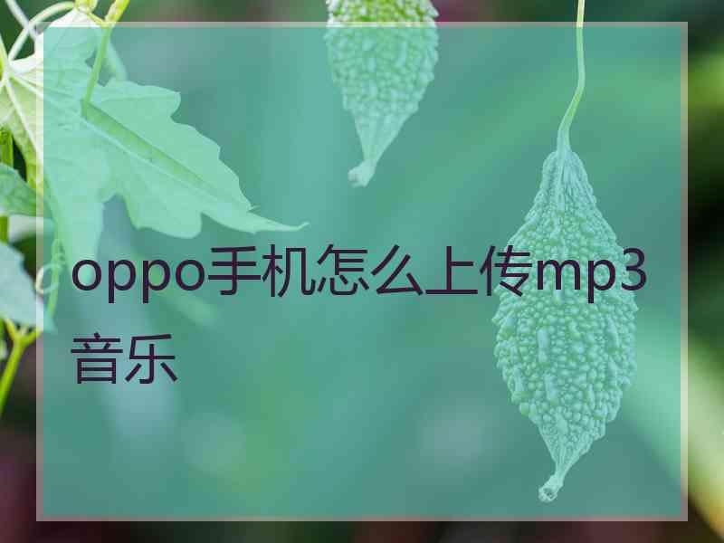 oppo手机怎么上传mp3音乐