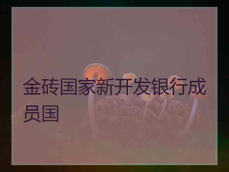 金砖国家新开发银行成员国