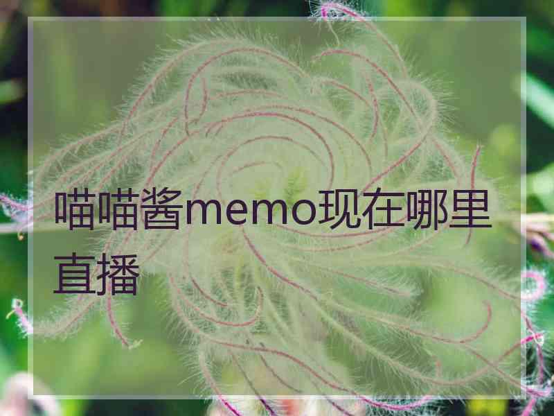 喵喵酱memo现在哪里直播