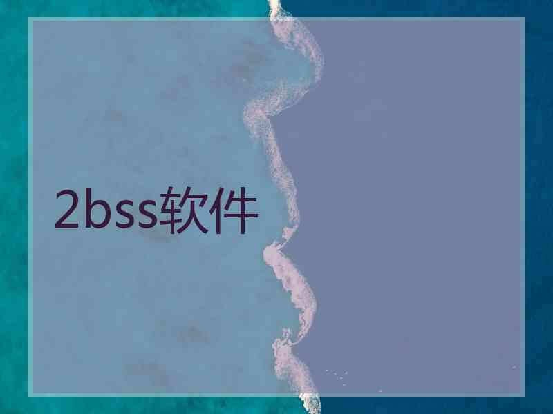 2bss软件