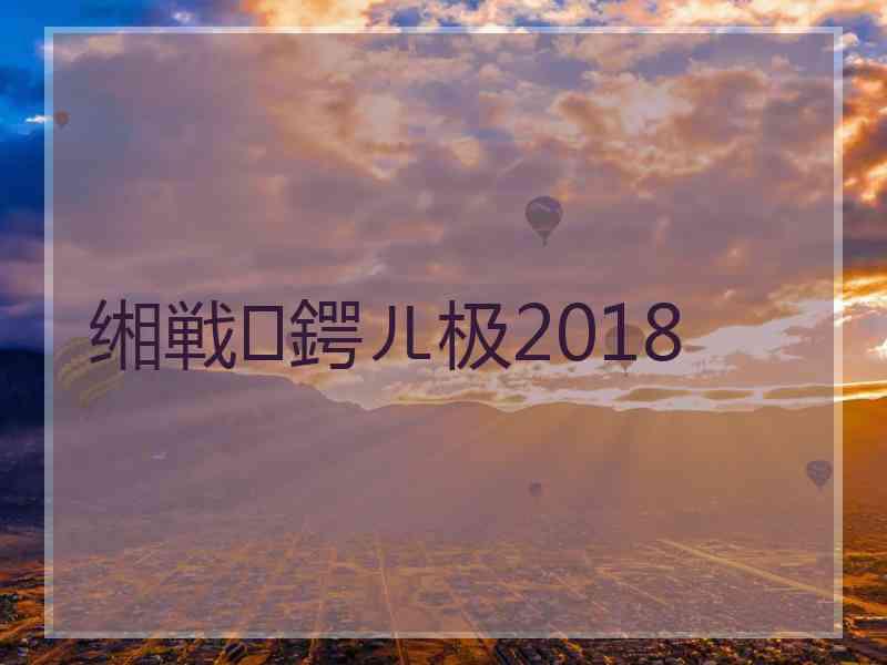 缃戦鍔ㄦ极2018