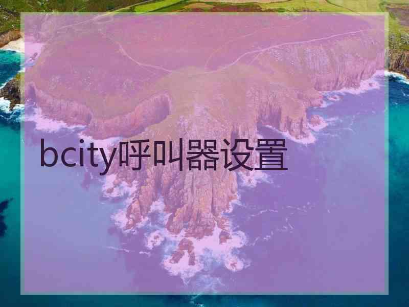 bcity呼叫器设置