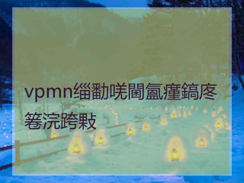 vpmn缁勫唴閫氳瘽鎬庝箞浣跨敤