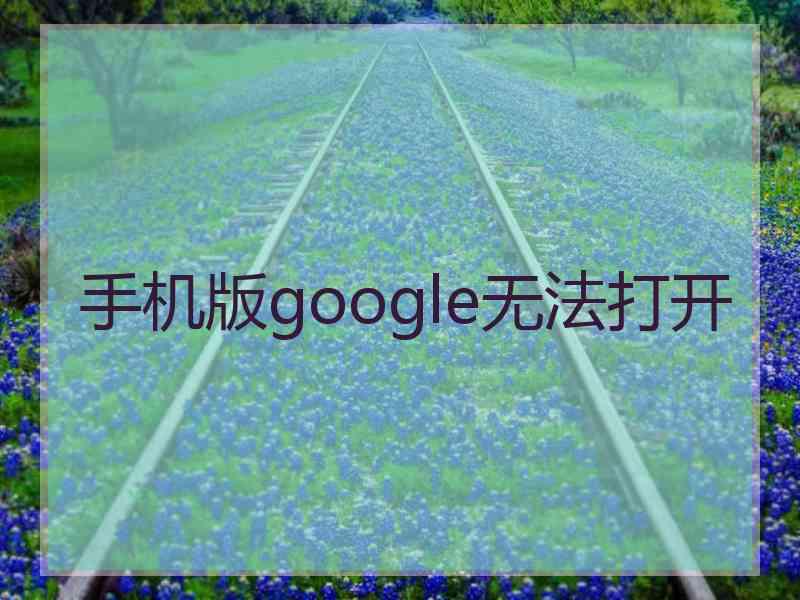 手机版google无法打开