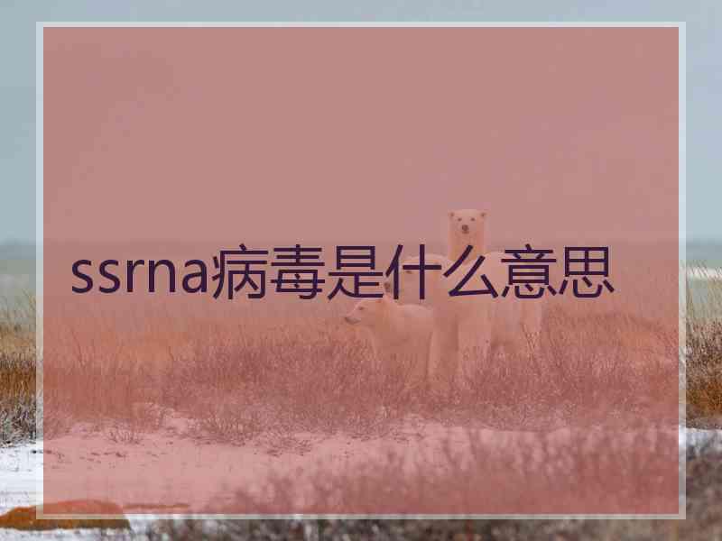 ssrna病毒是什么意思