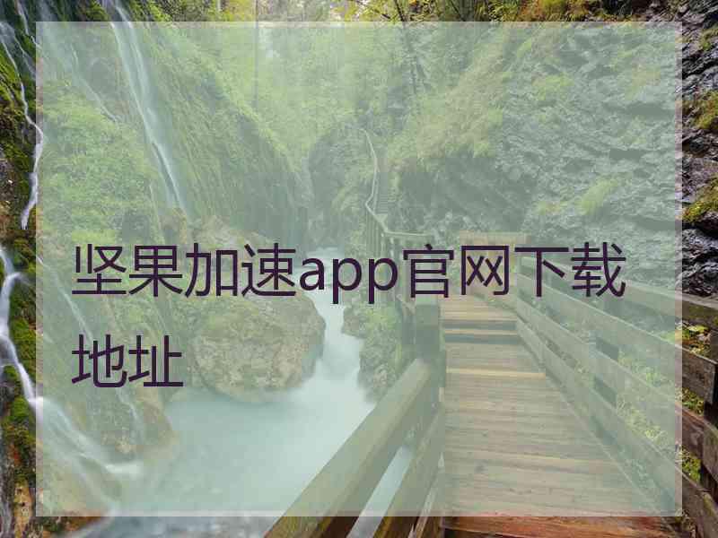 坚果加速app官网下载地址