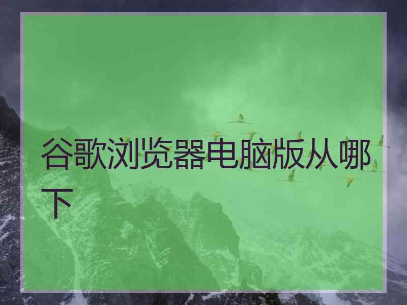 谷歌浏览器电脑版从哪下