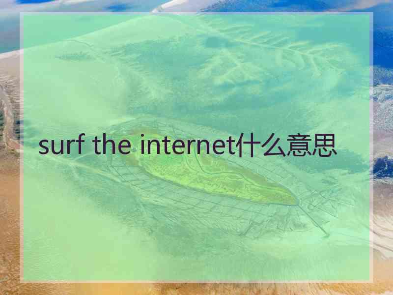 surf the internet什么意思