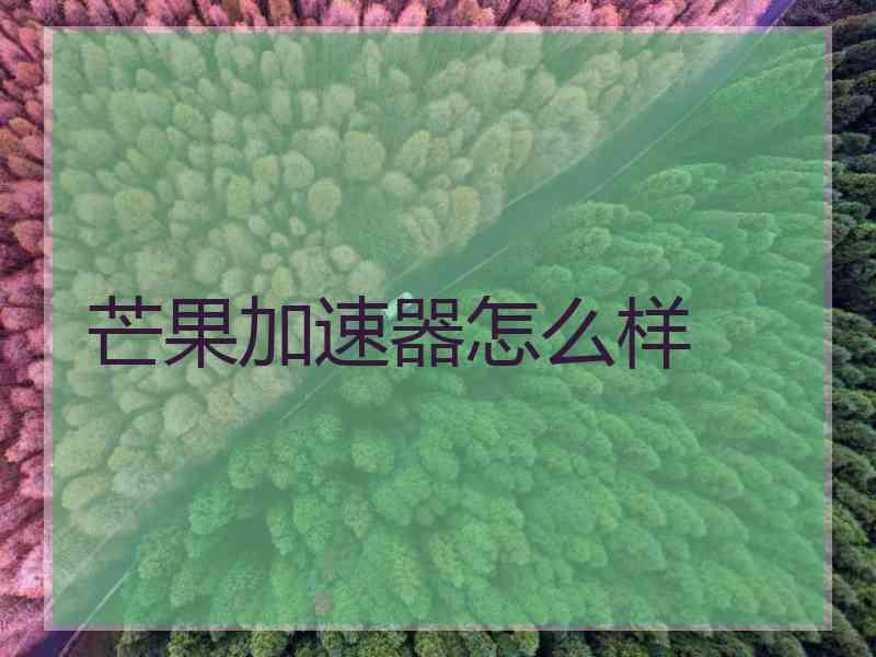 芒果加速器怎么样