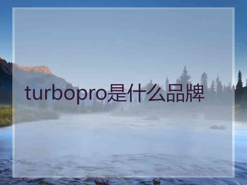 turbopro是什么品牌