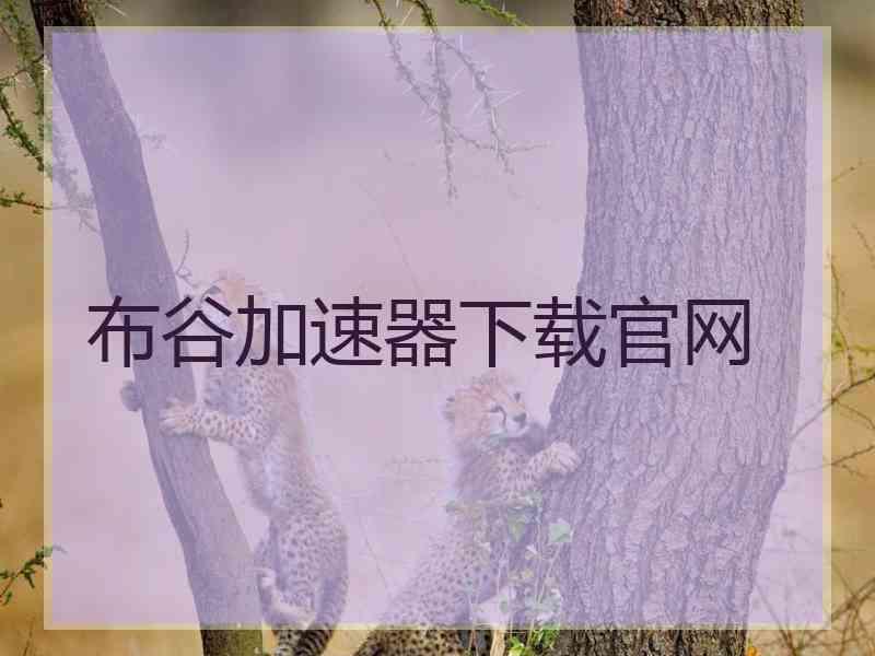 布谷加速器下载官网