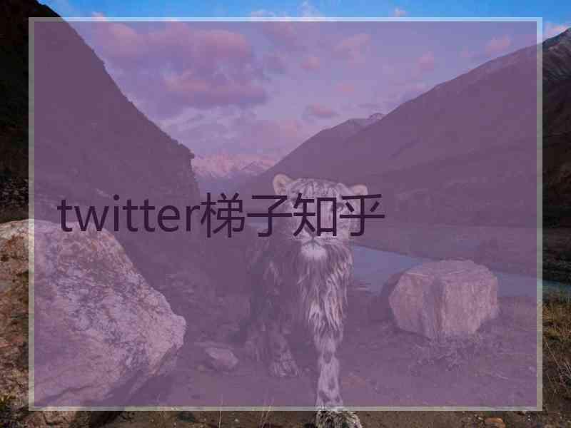 twitter梯子知乎