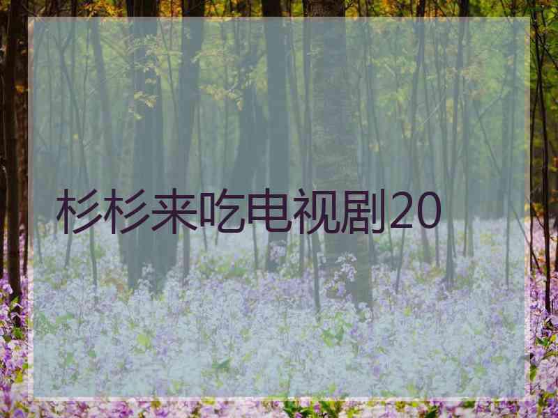 杉杉来吃电视剧20