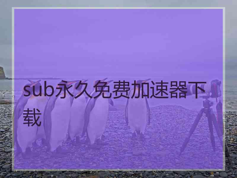 sub永久免费加速器下载