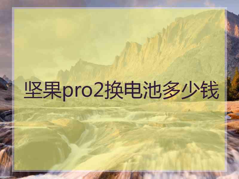 坚果pro2换电池多少钱