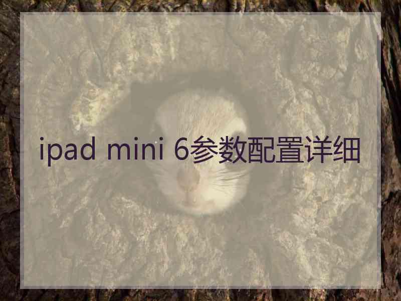 ipad mini 6参数配置详细