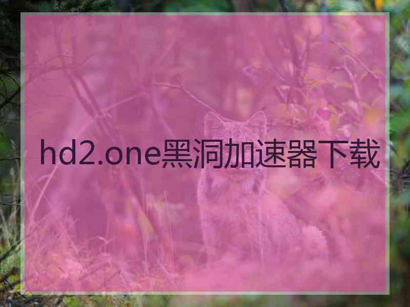 hd2.one黑洞加速器下载