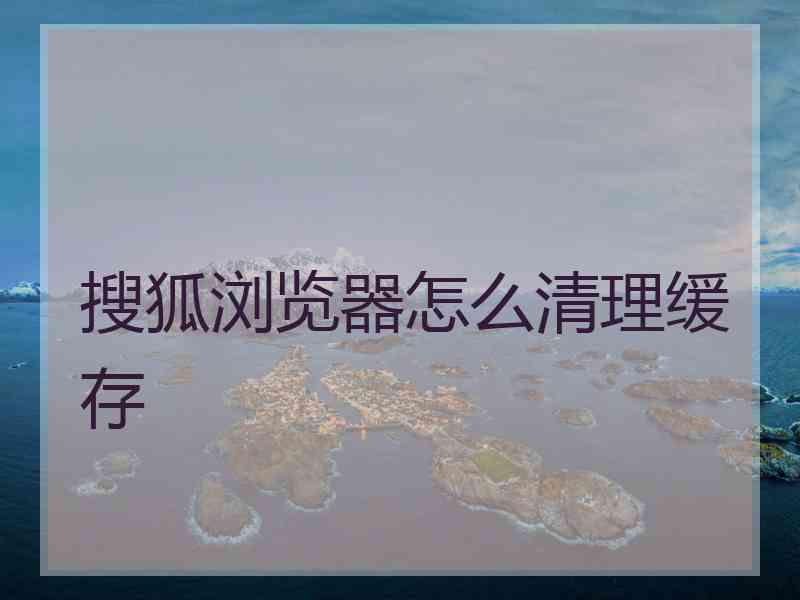 搜狐浏览器怎么清理缓存