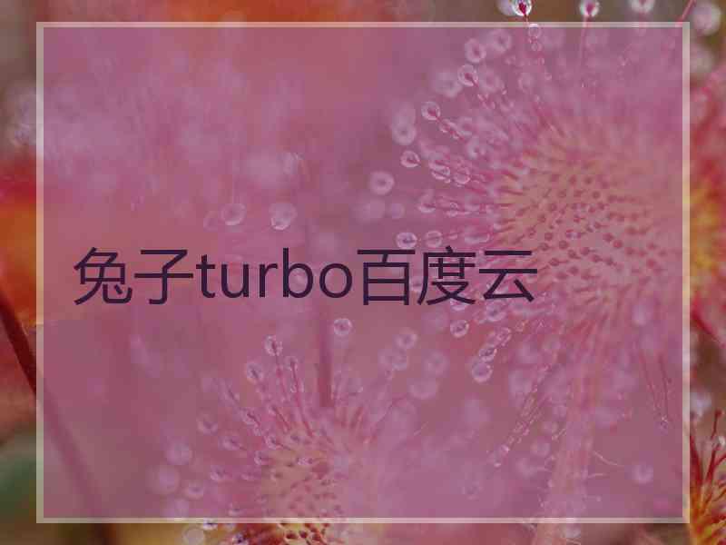 兔子turbo百度云