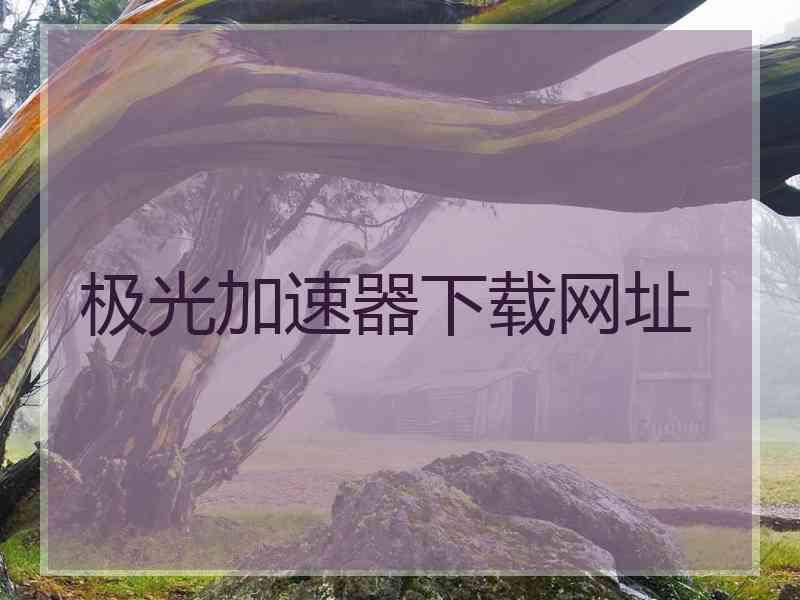 极光加速器下载网址