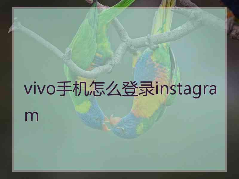 vivo手机怎么登录instagram