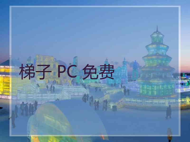 梯子 PC 免费